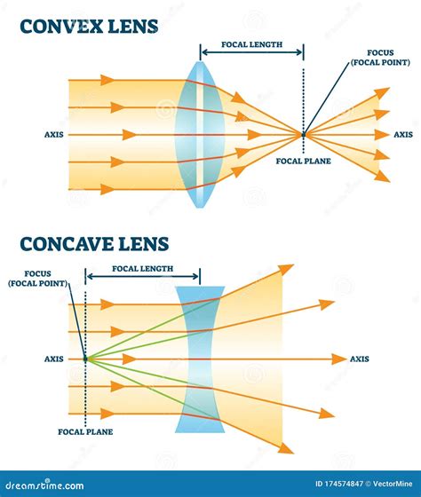 The human body is often seen through a male lens. 30 female ...